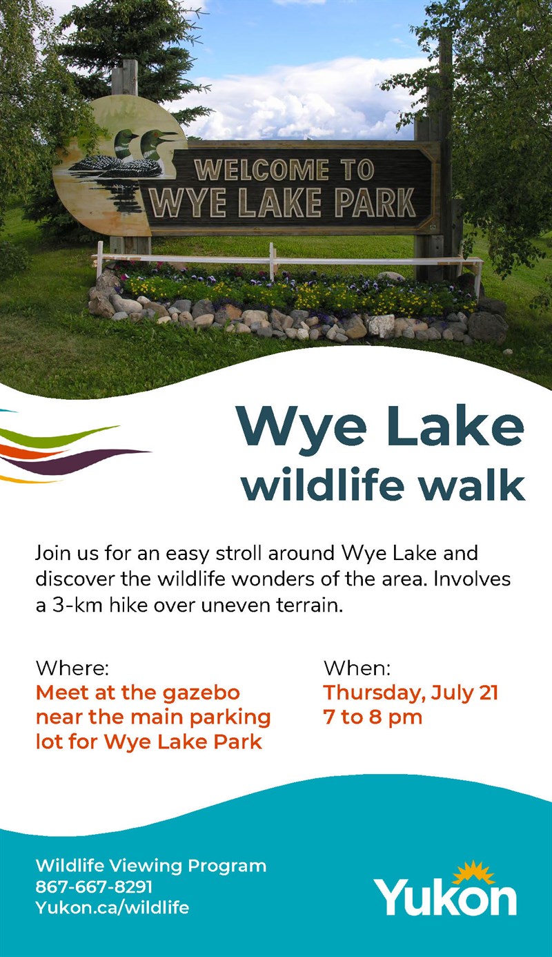 Wye Lake Wildlife Walk